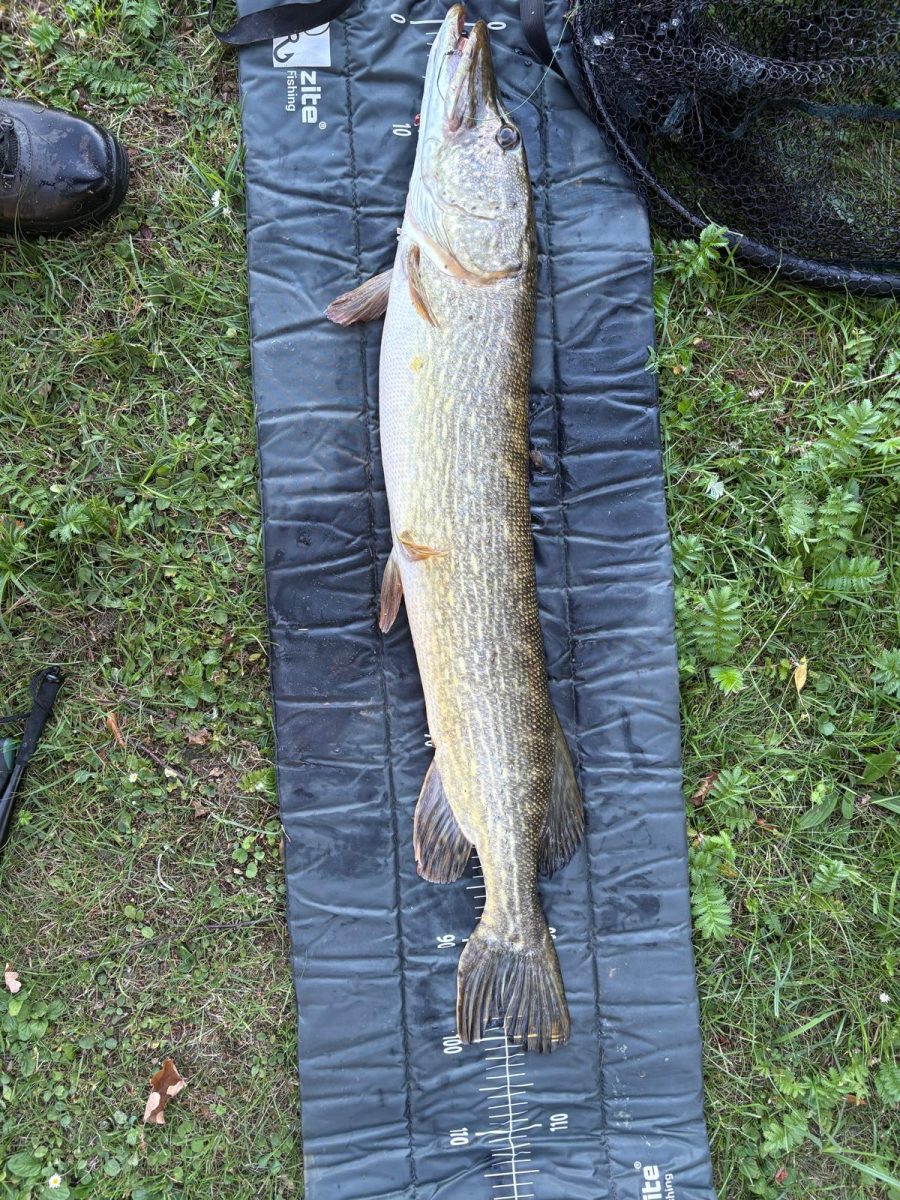 Johannes Otte Hecht, gefangen am Heidesee. 102 cm Gewicht, 7094 Gramm, 5675 Punkte Fangdatum 18.08.25