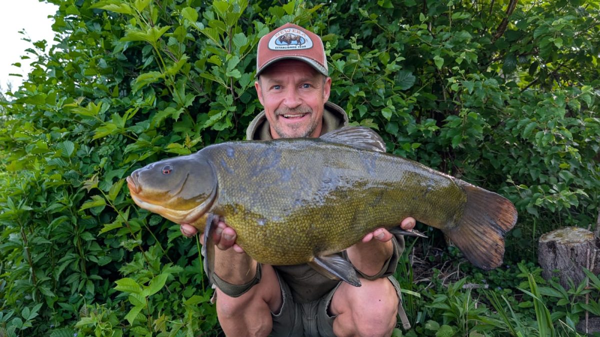 Michael Schatka,Schleie 59cm, 3900g,gefangen am Mastholter See am 24.05.2026, 10140 Punkte