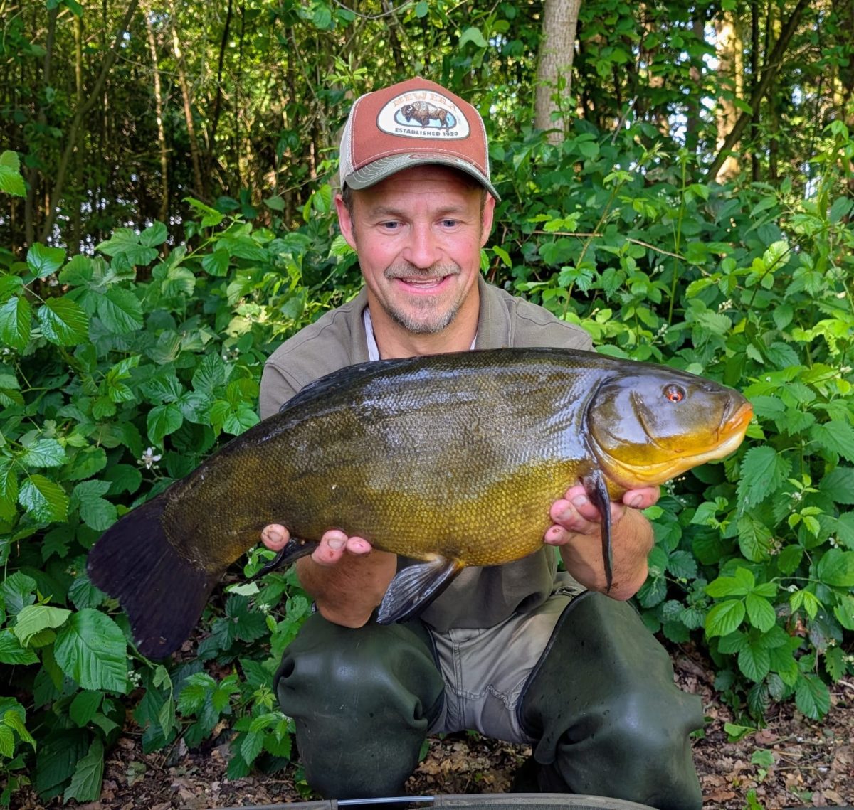 Michael Schatka,Schleie 62cm, 4250g,gefangen am Mastholter See am 29.05.2026, 11050 Punkte